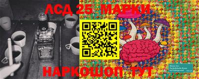 гидропоника Ставрополь