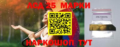 гидропоника Ставрополь